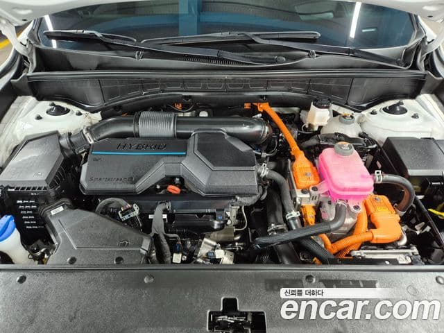 Kia Sorento 4세대 Noblesse, 2023 7