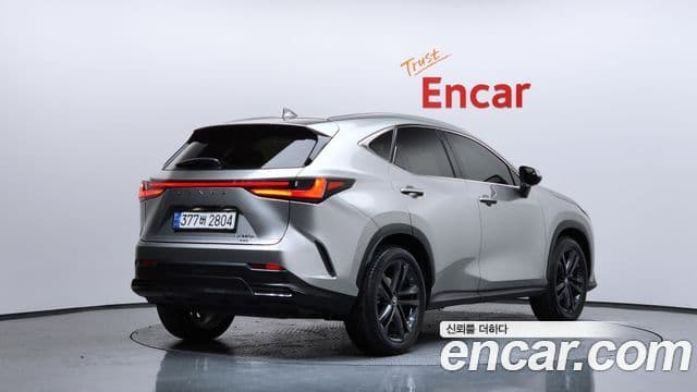 Lexus NX350h 2세대 Premium, 2024 2