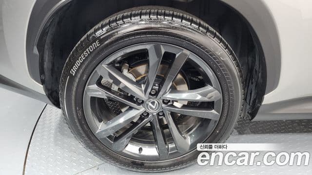 Lexus NX350h 2세대 Premium, 2024 все фото