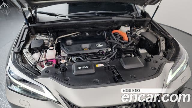 Lexus NX350h 2세대 Premium, 2024 6