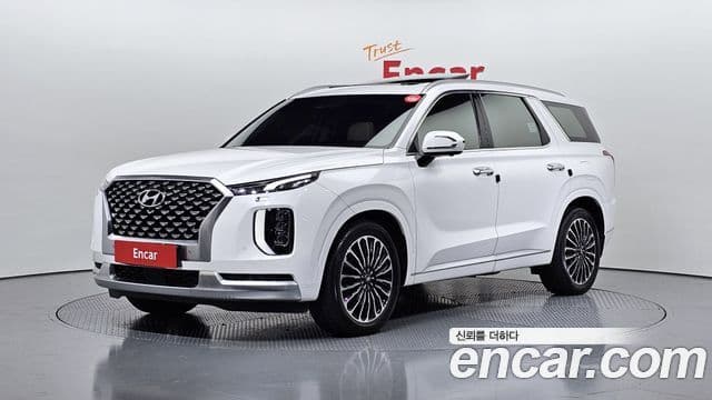 Hyundai Palisade VIP, 2021 1