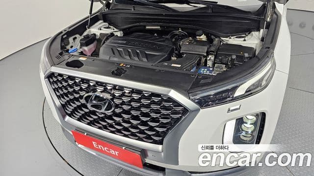 Hyundai Palisade VIP, 2021 6