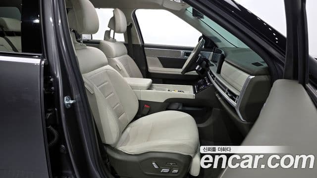 Hyundai Santa Fe (MX5) Calligraphy, 2024 10