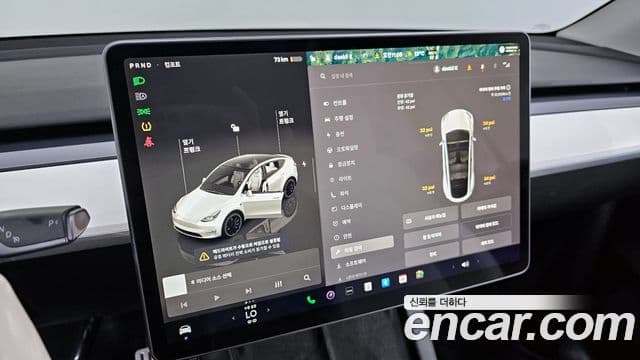 Tesla модель Y performance AWD, 2024 18