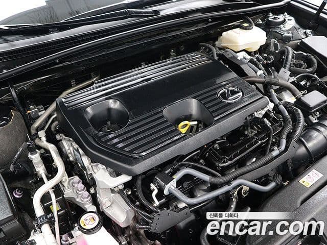 Lexus ES300h 7세대 Luxury Plus, 2023 19