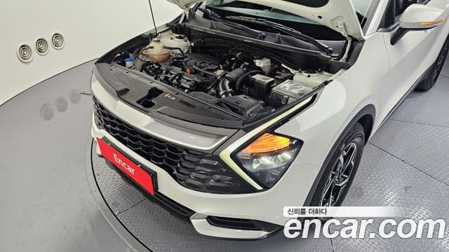 Kia Sportage 5세대 Trendy, 2022 6