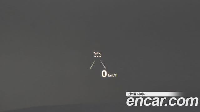 Hyundai Palisade Prestige, 2019 18