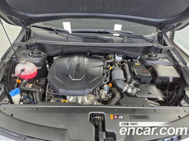 Kia Sportage 5세대 Noblesse, 2023 14