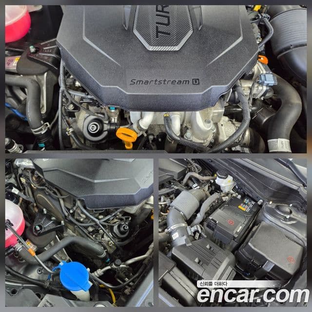 Kia Sportage 5세대 Noblesse, 2023 15