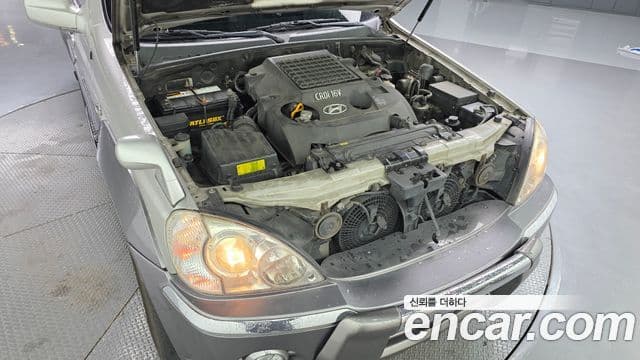 Hyundai 테라칸 люксовая версия, 2003 6