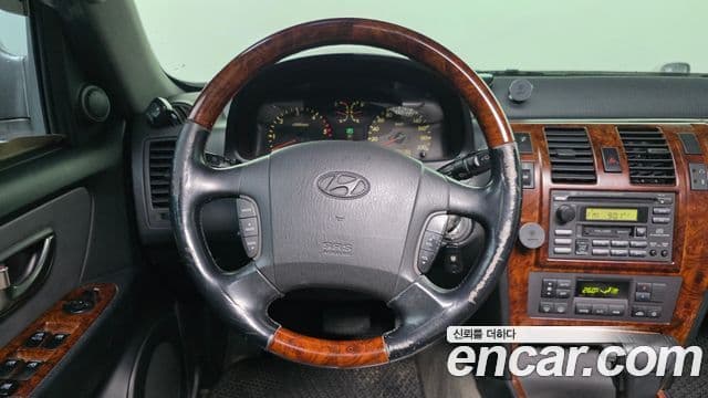 Hyundai 테라칸 люксовая версия, 2003 14