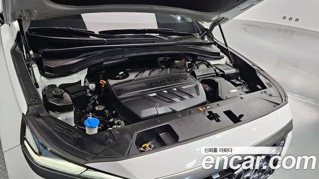 Hyundai Santa Fe TM Prestige, 2019 6