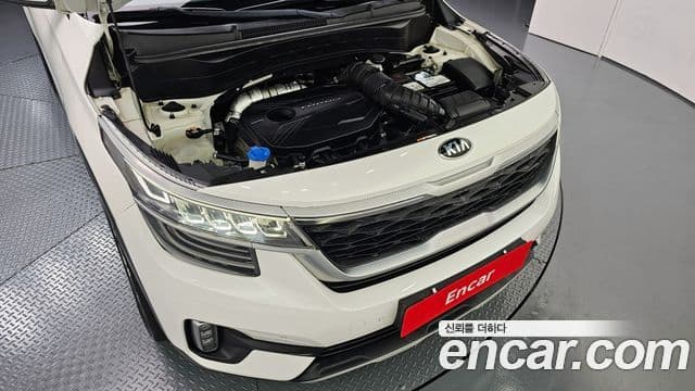 Kia Seltos Noblesse, 2020 6