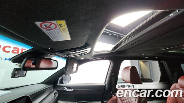 Hyundai Palisade Prestige, 2019 18