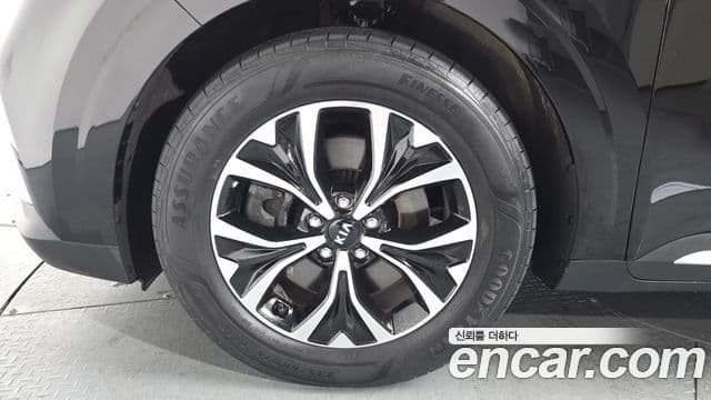 Kia Carnival 4세대 Noblesse, 2021 все фото