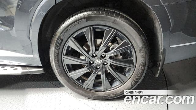 Hyundai Palisade Calligraphy, 2021 все фото