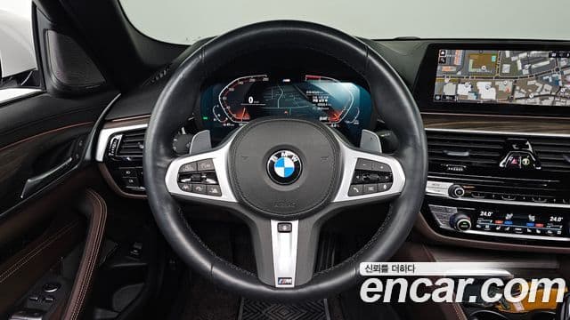 BMW 5시리즈 (G30) 530i M Sport Plus, 2020 13
