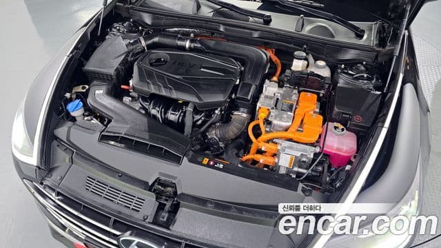 Hyundai Sonata гибрид (DN8) Premium Plus, 2023 6