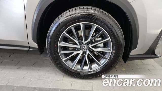 Lexus NX450h+ 2세대 Premium, 2025 все фото