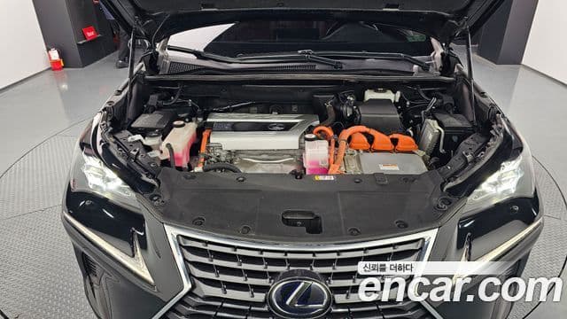 Lexus NX300h Supreme, 2021 6