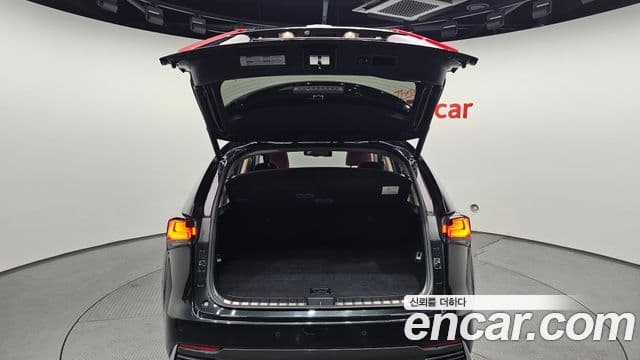 Lexus NX300h Supreme, 2021 20