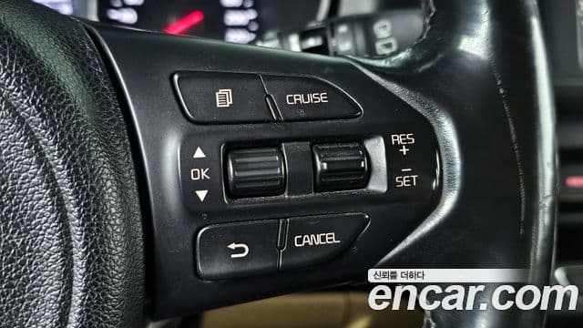 Kia All New Carnival Luxury, 2018 14