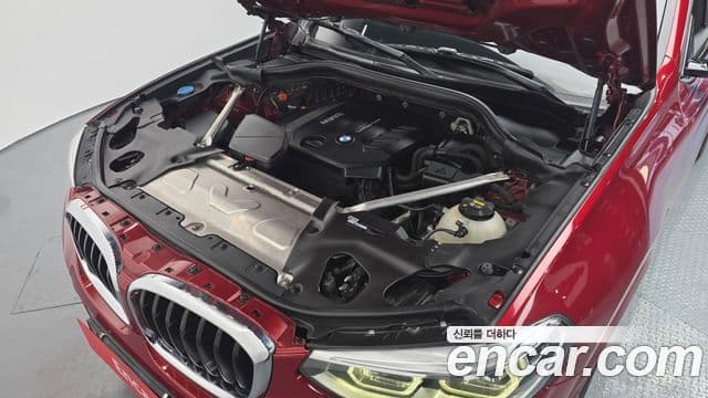 BMW X4 (G02) xDrive20d M Sport, 2019 6