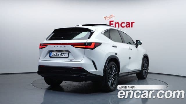 Lexus NX350h 2세대 Luxury, 2025 2