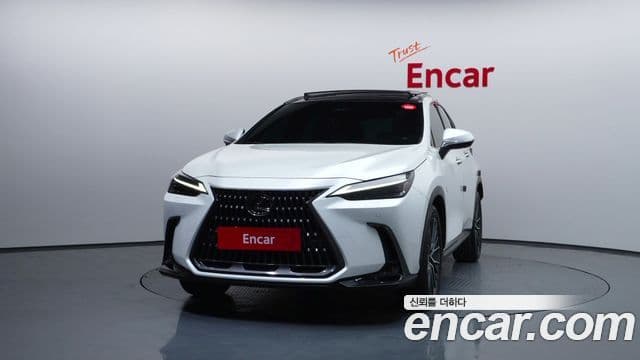 Lexus NX350h 2세대 Luxury, 2025 3