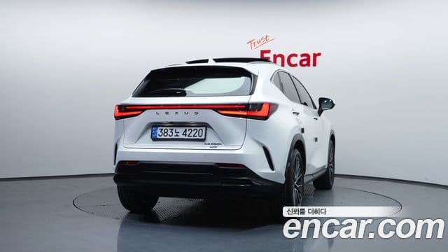 Lexus NX350h 2세대 Luxury, 2025 4