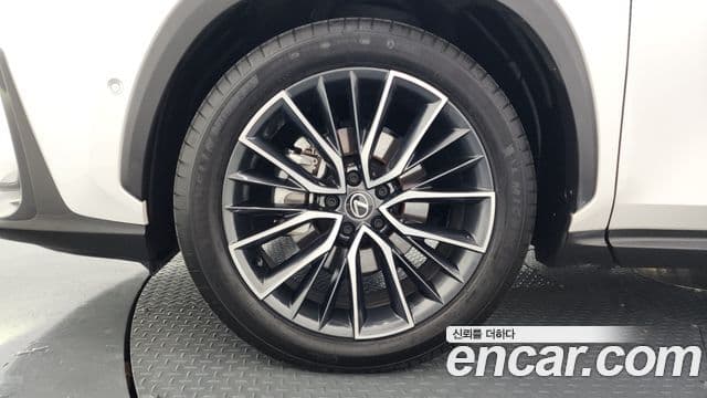 Lexus NX350h 2세대 Luxury, 2025 все фото