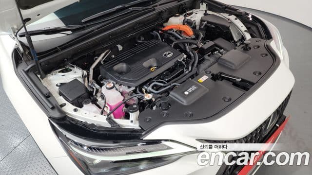 Lexus NX350h 2세대 Luxury, 2025 6
