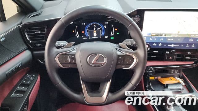 Lexus NX350h 2세대 Luxury, 2025 13