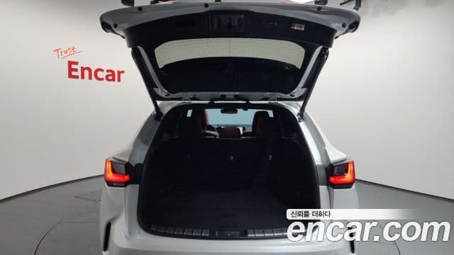 Lexus NX350h 2세대 Luxury, 2025 20