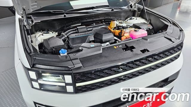 Hyundai Santa Fe (MX5) Calligraphy, 2024 6