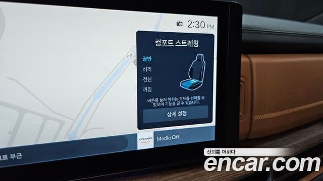 Hyundai Santa Fe (MX5) Calligraphy, 2024 19