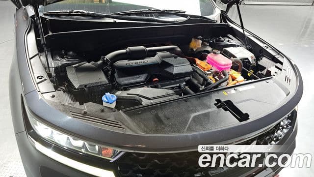 Kia Sorento 4세대 Prestige, 2022 6