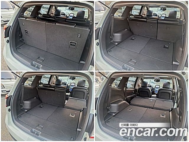 Hyundai Santa Fe CM Premier, 2010 17