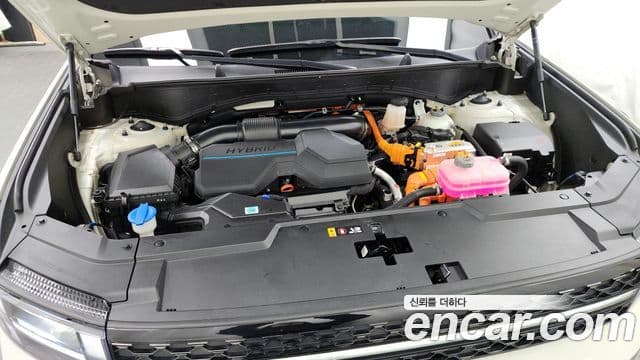 Hyundai Santa Fe (MX5) Calligraphy, 2024 6