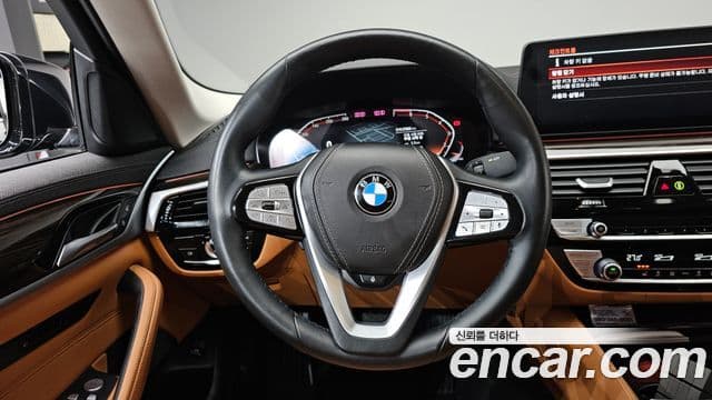 BMW 5시리즈 (G30) Luxury, 2023 13