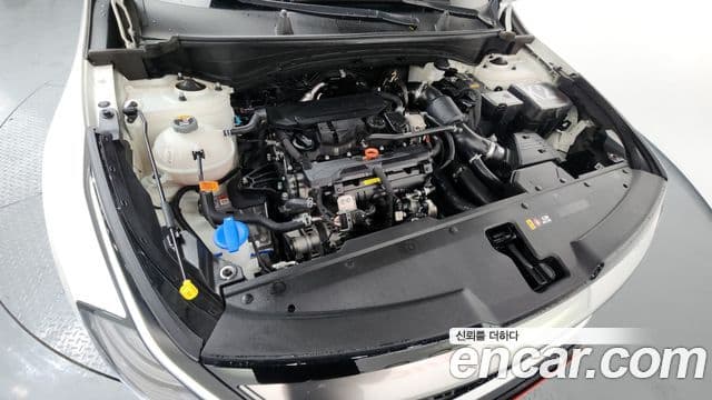 Kia Sportage 5세대 Noblesse, 2024 6