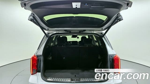 Hyundai The / новый New Palisade Calligraphy, 2024 19