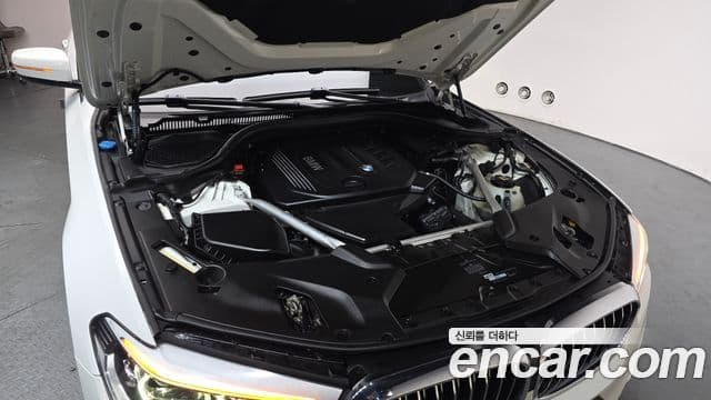 BMW 5시리즈 (G30) 520d Luxury Plus, 2018 6