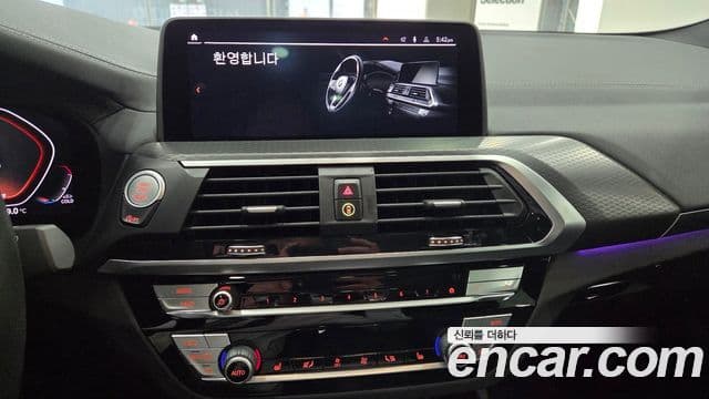 BMW X4 (G02) xDrive20i M Sport X, 2020 10