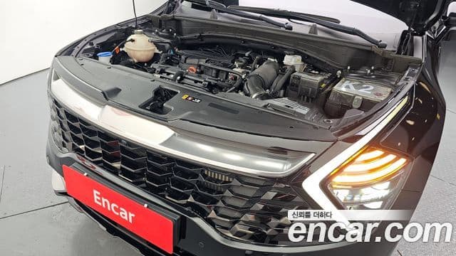 Kia Sportage 5세대 Signature, 2022 6