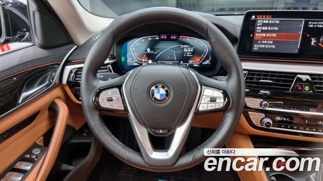 BMW 5시리즈 (G30) Luxury, 2023 13
