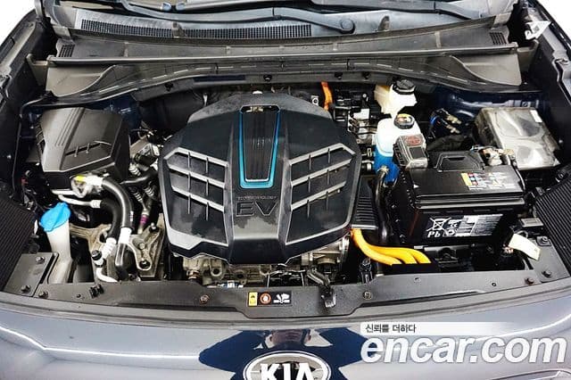 Kia Niro EV Noblesse, 2019 8