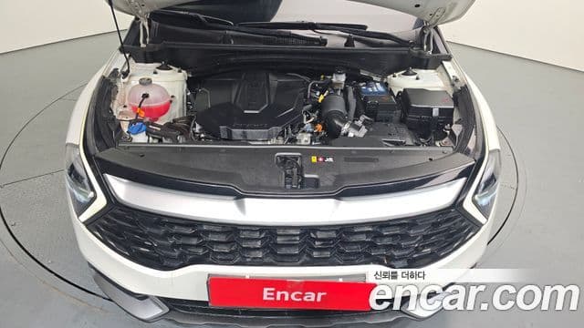 Kia Sportage 5세대 Trendy, 2022 6