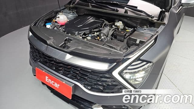 Kia Sportage 5세대 Signature, 2022 6
