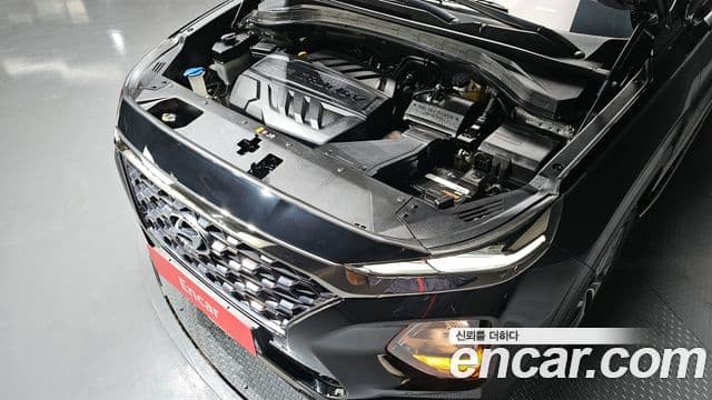 Hyundai Santa Fe TM Exclusive, 2020 6